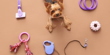 shein pets