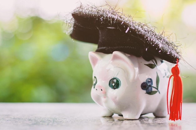 Decoding 2025 US Retirement Account Contribution Limit Changes